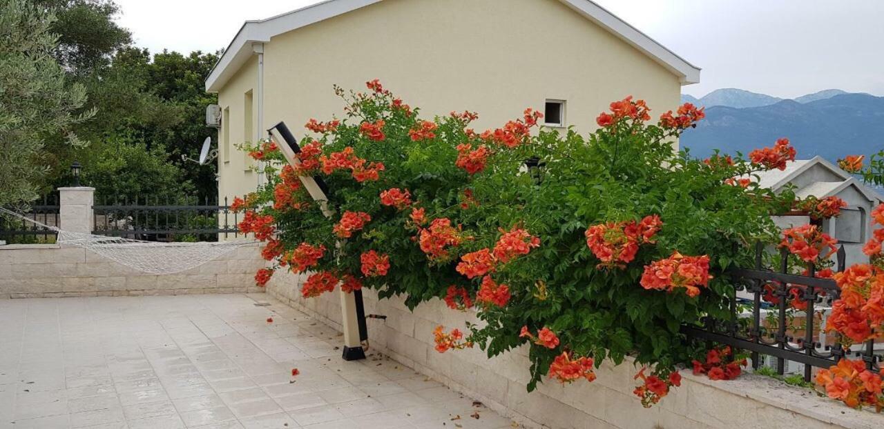 Villa Mare Apartments Tivat Exterior foto